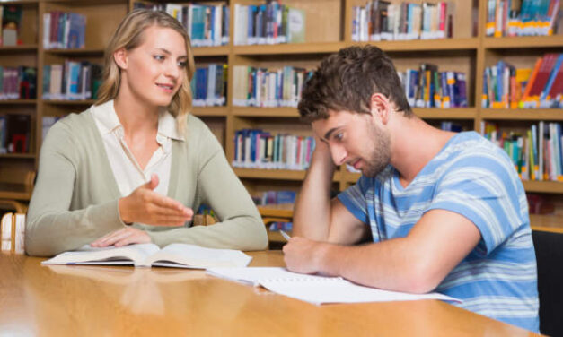 Michelle Waugh, PhD: Delivering Personalized Excellence in Tutor Services